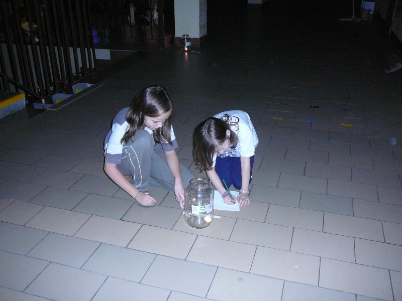 P1030496.jpg