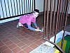 P1030490.jpg
