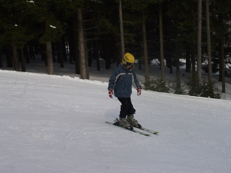 DSC00869.jpg