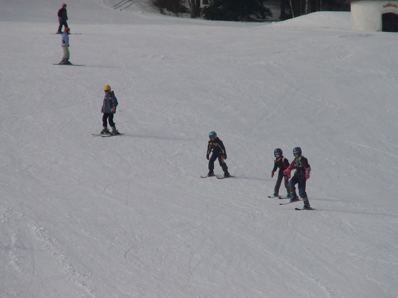 DSC00875.jpg