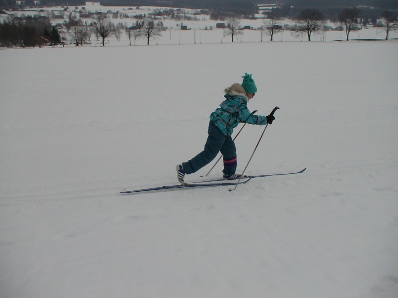 DSC00897.jpg