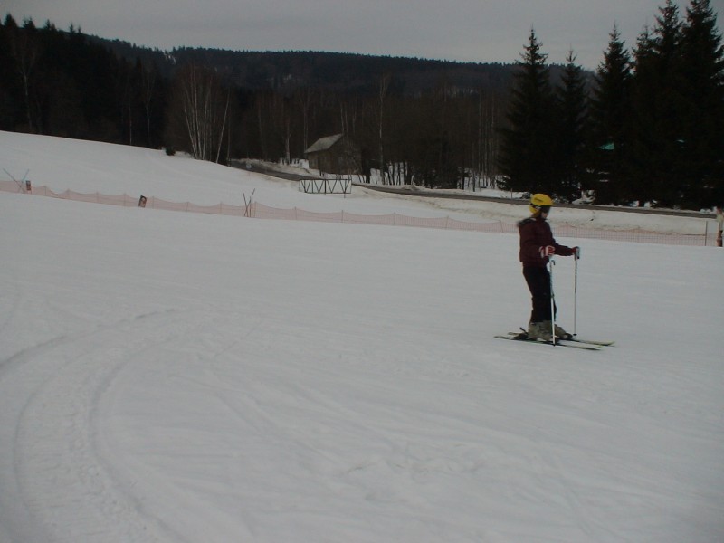 DSC00908.jpg