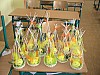 DSC01075.jpg
