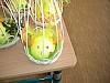 DSC01076.jpg