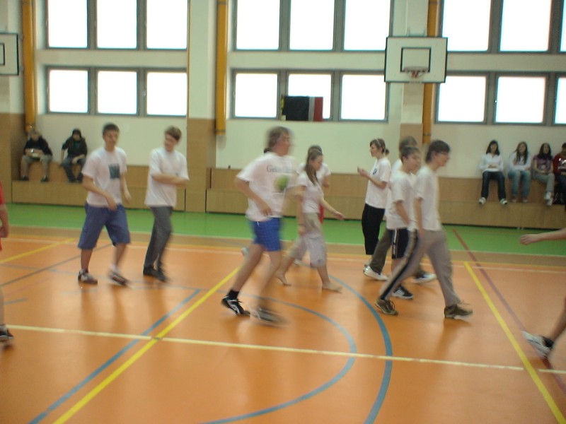 DSC01113.jpg