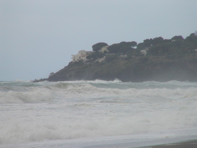 DSC00945.jpg