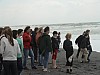 DSC00948.jpg
