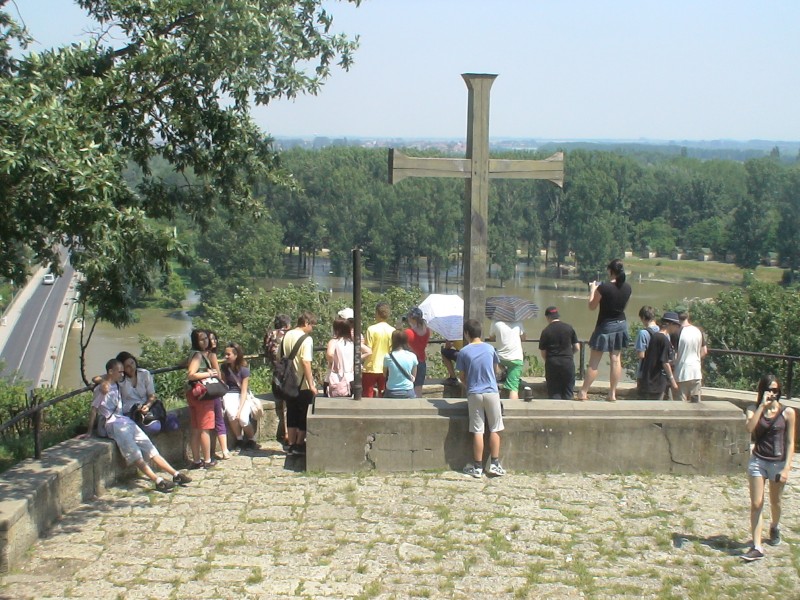 119.jpg