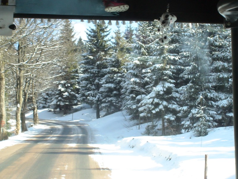 DSC01325.jpg