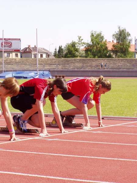 P1010039.jpg