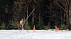 DSC02019.jpg