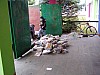 P1010100.jpg
