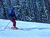 P1040338.jpg