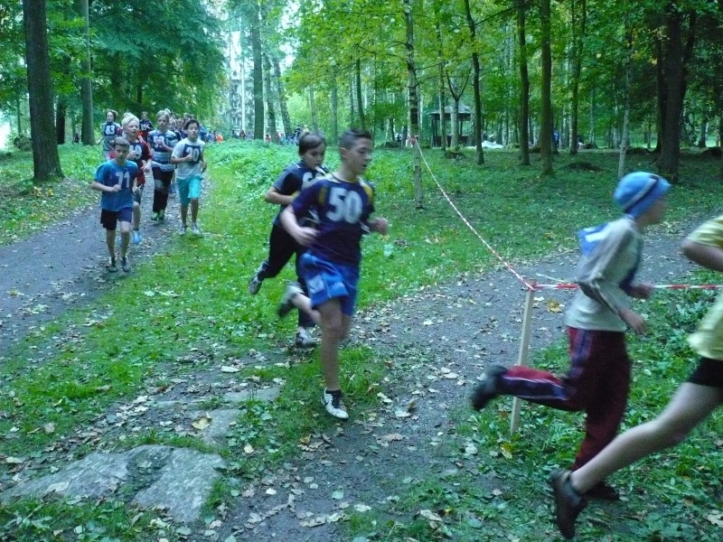 P1050053.jpg