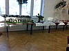 IMG_1473.jpg