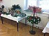 IMG_1477.jpg