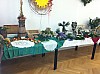 IMG_1478.jpg
