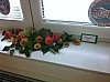 IMG_1486.jpg