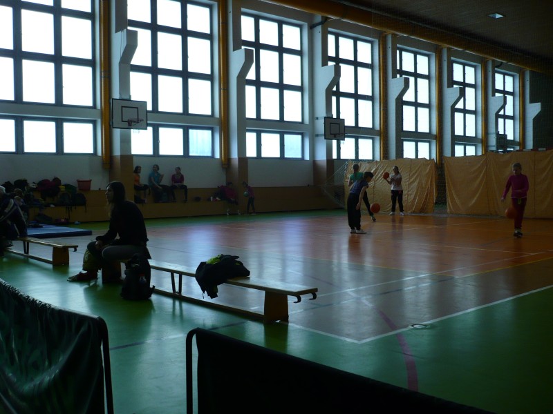 P1050504.jpg