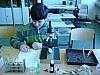 P1050544.jpg