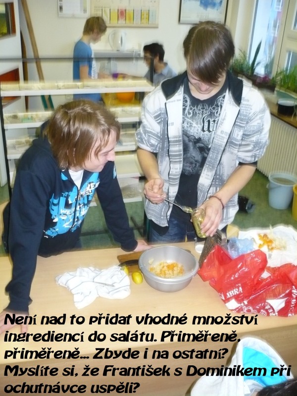 P1050209.jpg