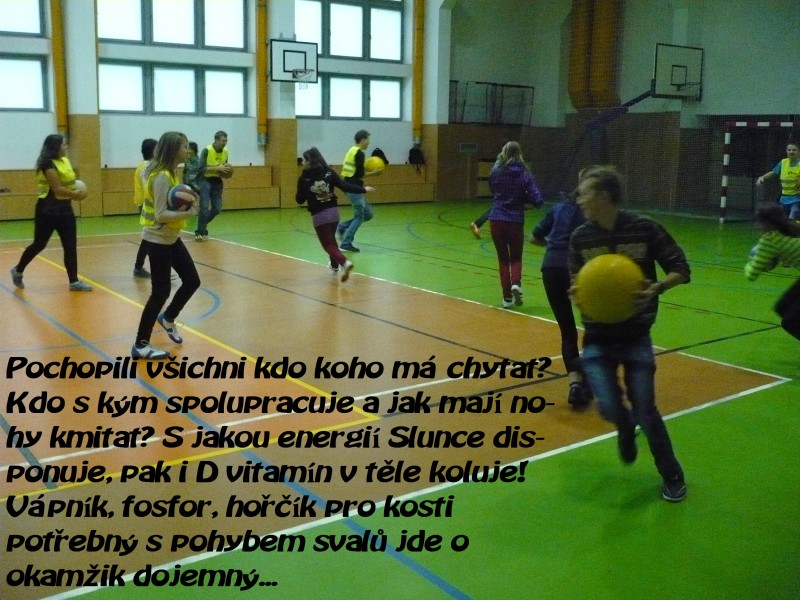 P1050146.jpg