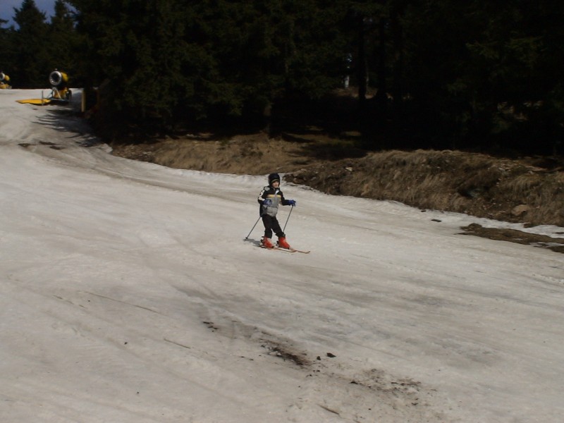 DSC00236.jpg