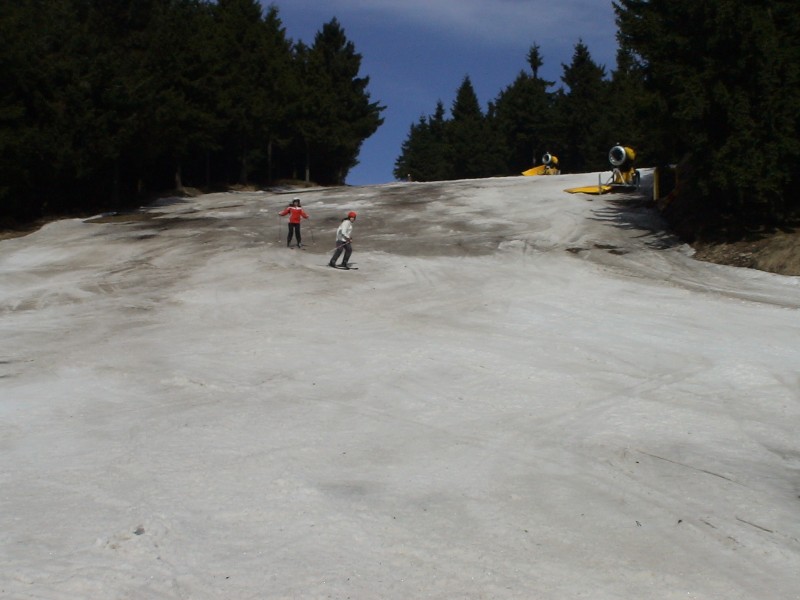 DSC00240.jpg