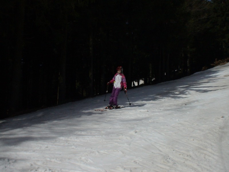 DSC00243.jpg