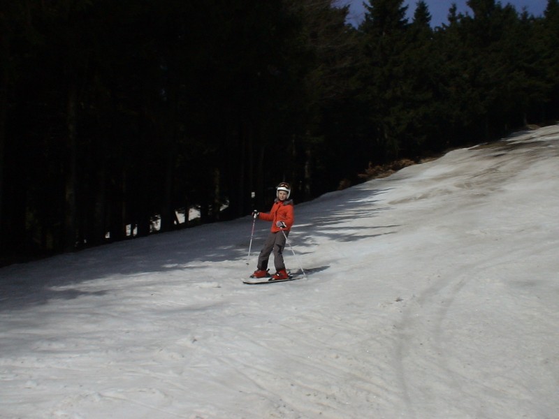 DSC00245.jpg