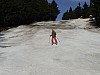 DSC00241.jpg