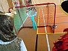 DSCN0080.jpg DSCN0080.jpg