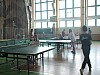 DSC02074.jpg