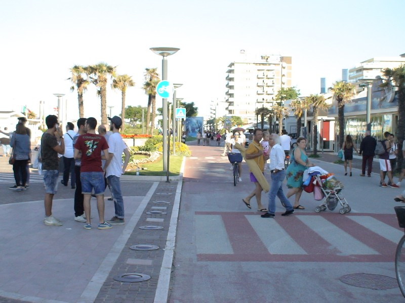 DSC00303.jpg