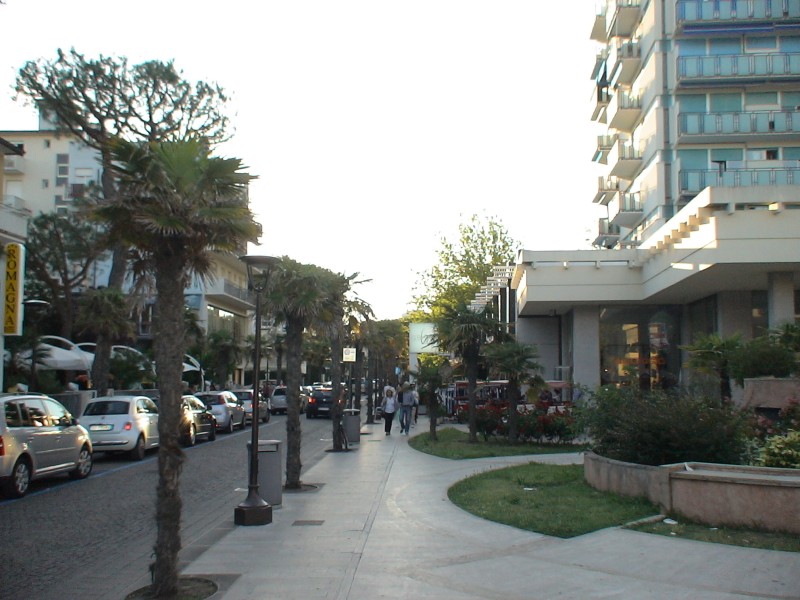 DSC00324.jpg