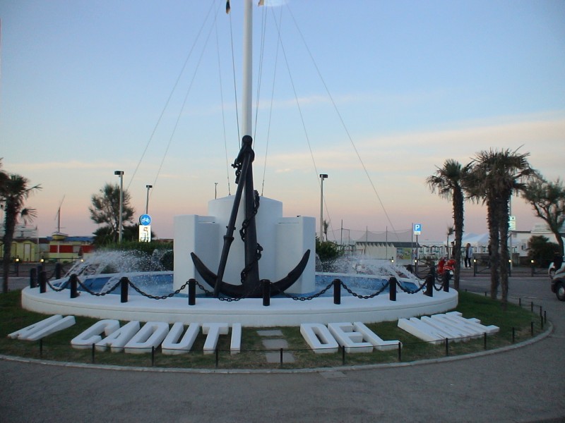 DSC00336.jpg