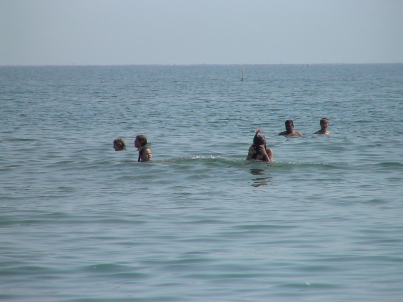 DSC00356.jpg