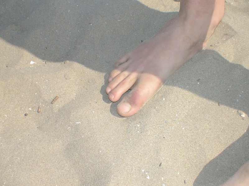 DSC00371.jpg