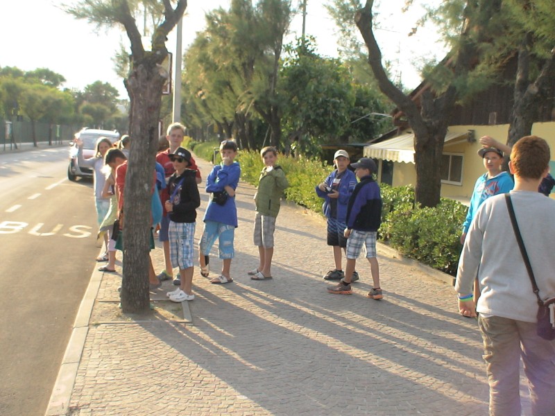 DSC00378.jpg