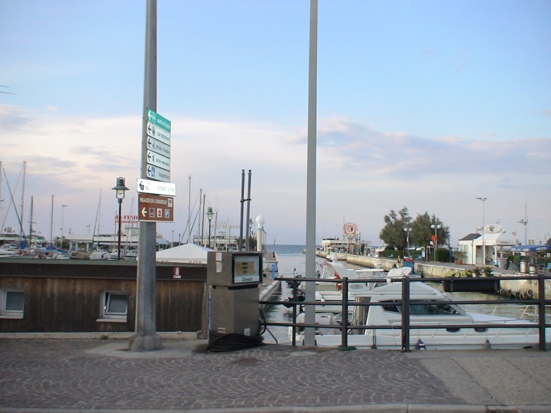 DSC00384.jpg