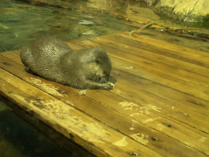 DSC00432.jpg