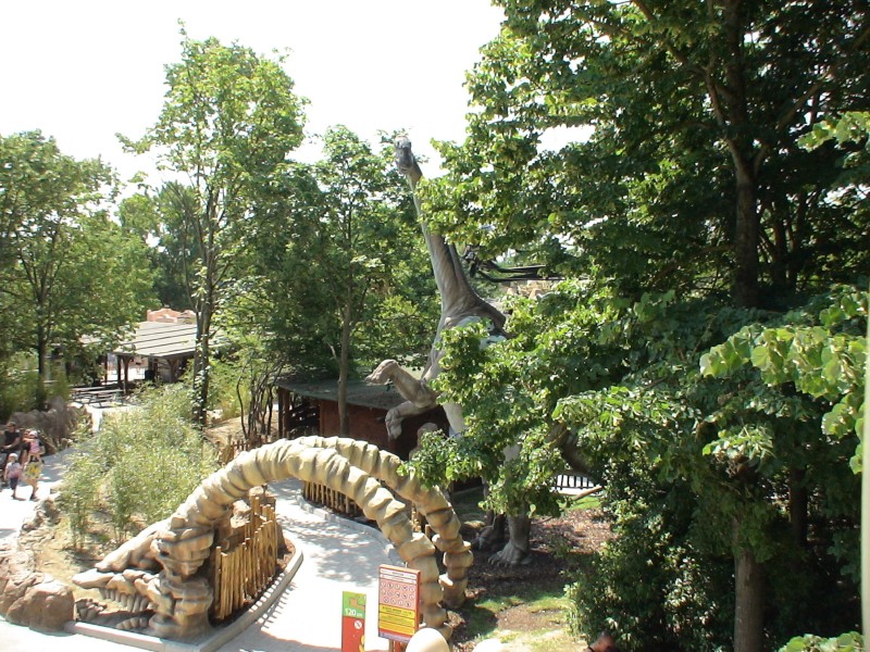 DSC00440.jpg