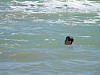 DSC00287.jpg