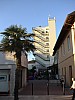 DSC00317.jpg