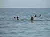 DSC00356.jpg
