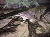 DSC00400.jpg