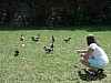 DSC00409.jpg