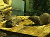 DSC00429.jpg