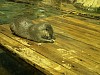 DSC00432.jpg