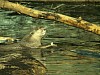 DSC00435.jpg